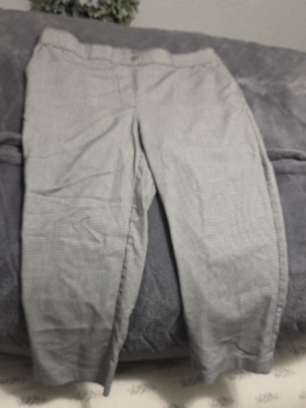 Rafaella Light Gray Women’s Dress Pants